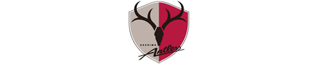Kashima Antlers FC