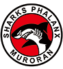 Nippon Steel Muroran Sharks