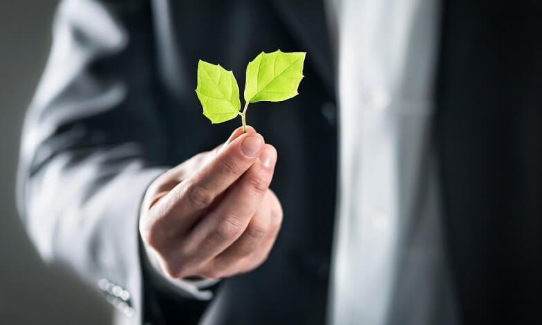 Sustainability Management