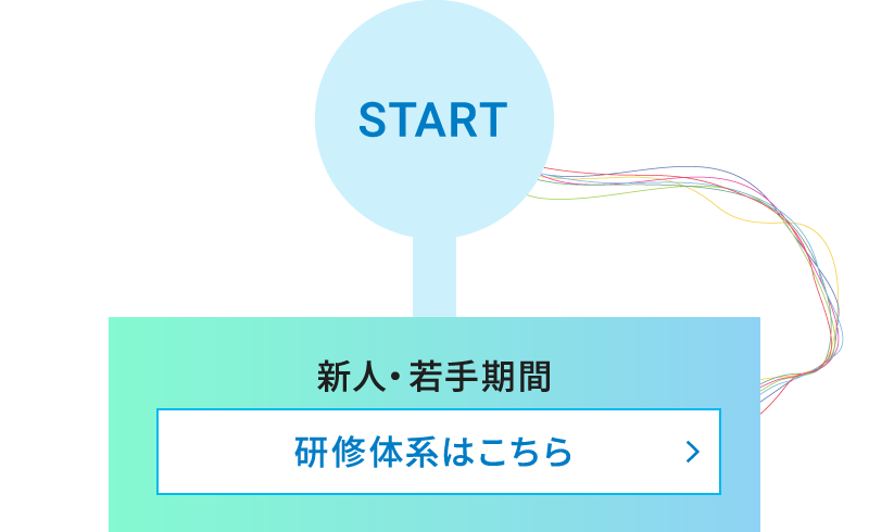 新人・若手期間 研修体系はこちら