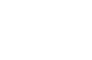 成長図のアイコン