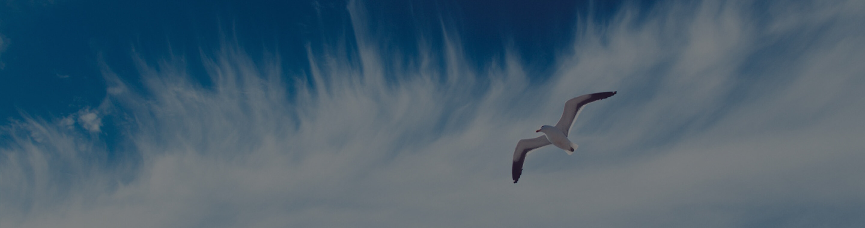 求める人材 採用情報 日鉄ソリューションズ