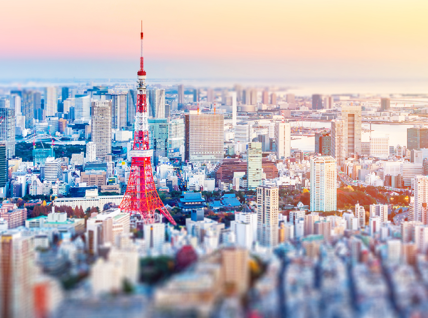 Home 株式会社nsソリューションズ東京